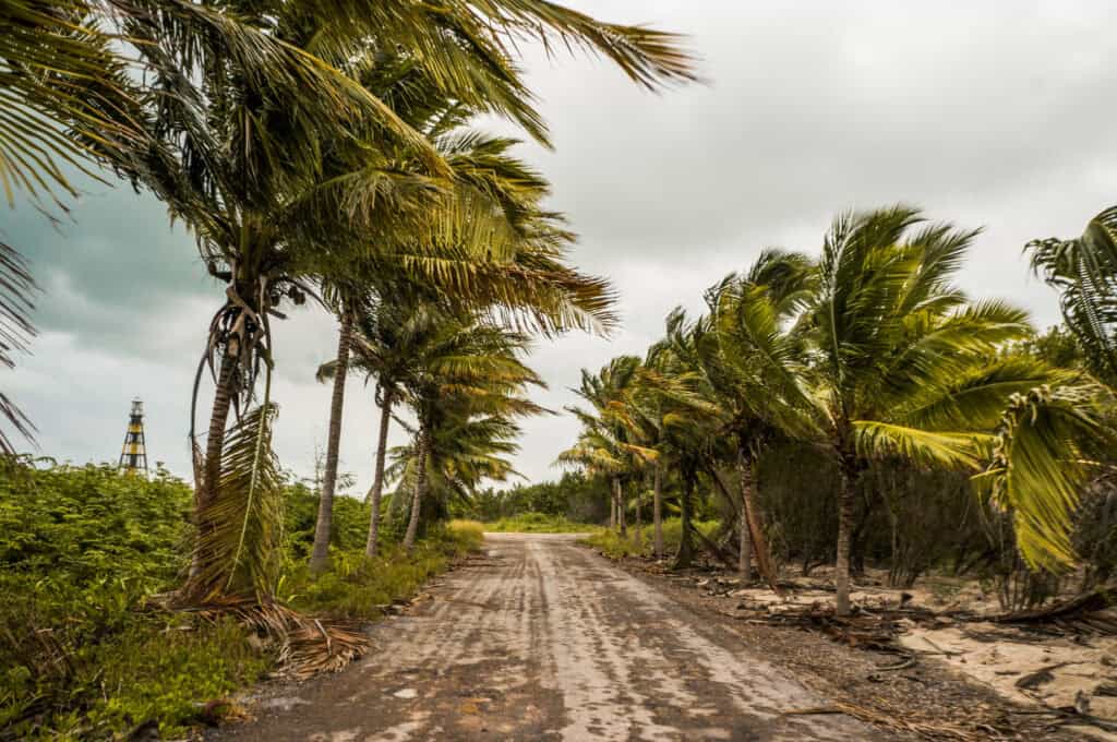 Tips on dealing with hurricane damage.